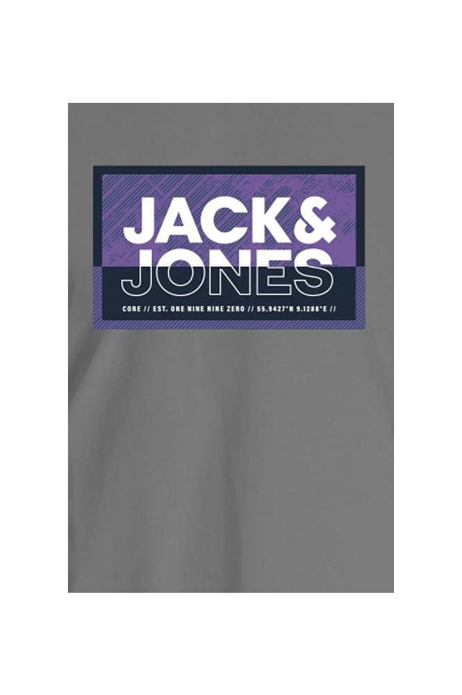 JCOLOGAN SUMMER PRINT TEE CREW NECK 12283825 GREY FLANNEL